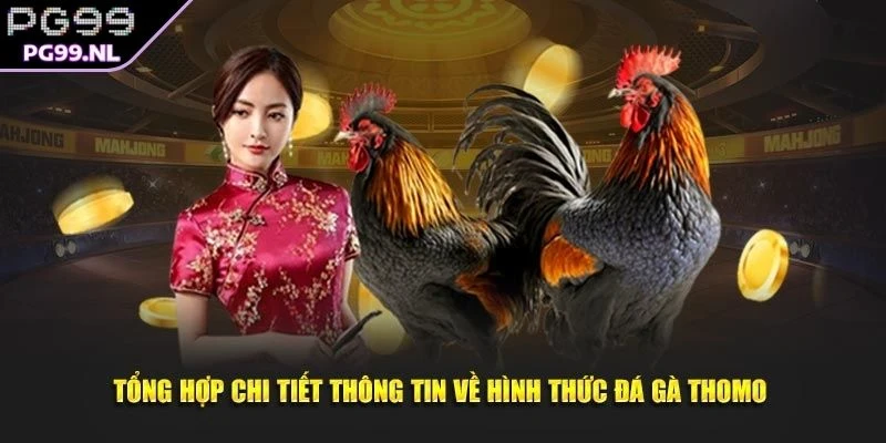 Tổng quan về đá gà Thomo