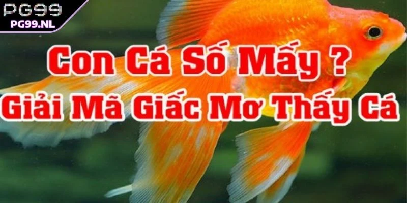 Mơ Thấy Cá Nên Đánh Con Gì Và Những Bí Ẩn Đằng Sau