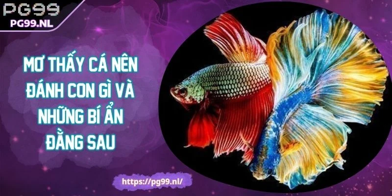 Mơ Thấy Cá Nên Đánh Con Gì Và Những Bí Ẩn Đằng Sau